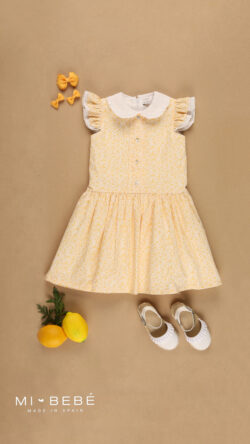 Clara Dress