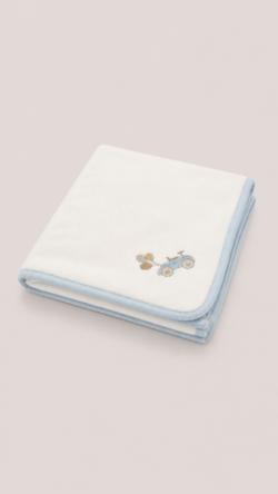 Blue car blanket