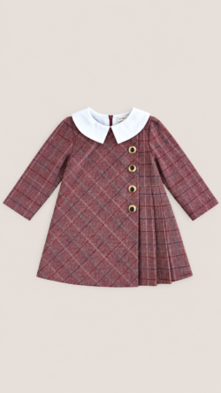 BURGUNDY MUSE DRESS